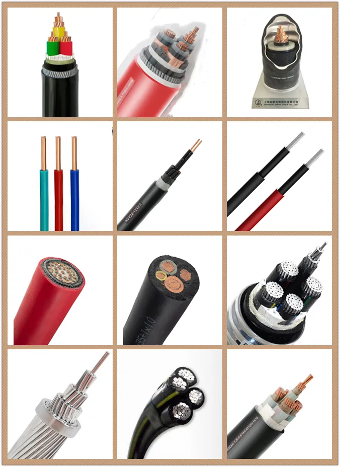 0.6/1 Kv 2 Core PVC Insulated Steel Wire Swa Armored Cable