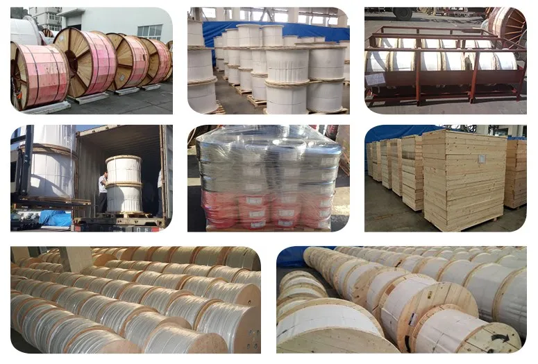 0.6/1kv Aerial Service Concentric Neutral Cable with Pilot Communication Wire Sne Cne Airdac Cable
