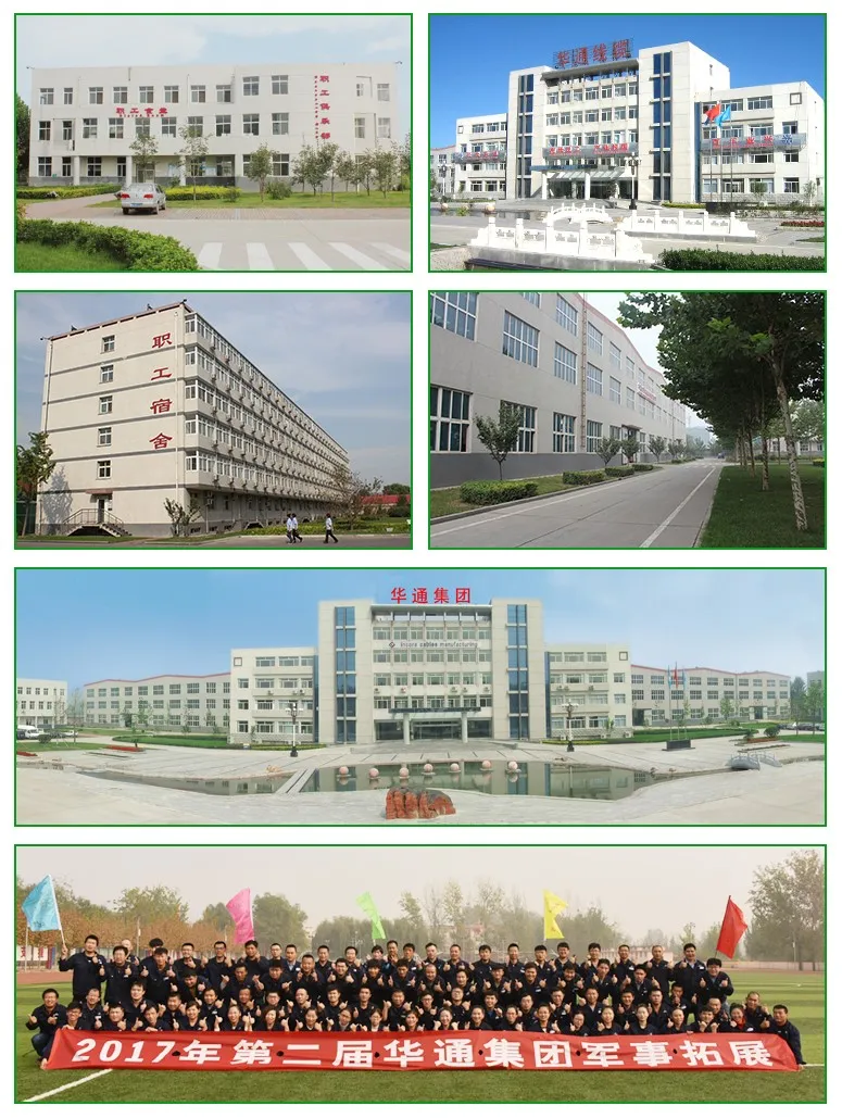 0.6/1kv Aerial Service Concentric Neutral Cable with Pilot Communication Wire Sne Cne Airdac Cable