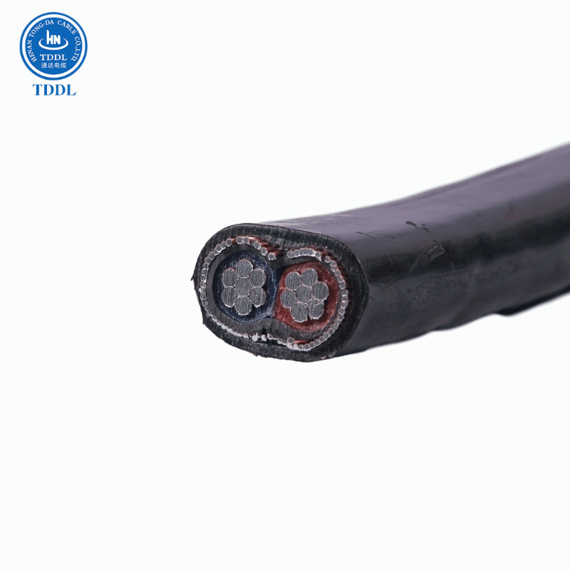 0.6/1kv XLPE Insulated Concentric Cable