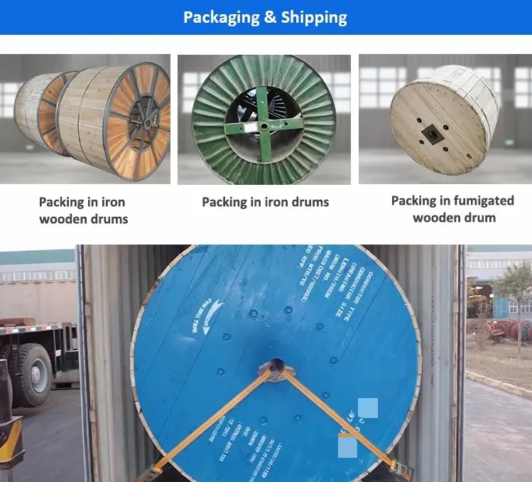 0.6/1kv XLPE Insulated Concentric Cable