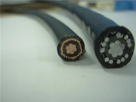10mm2 16mm2 Cne Sne Concentric Cable