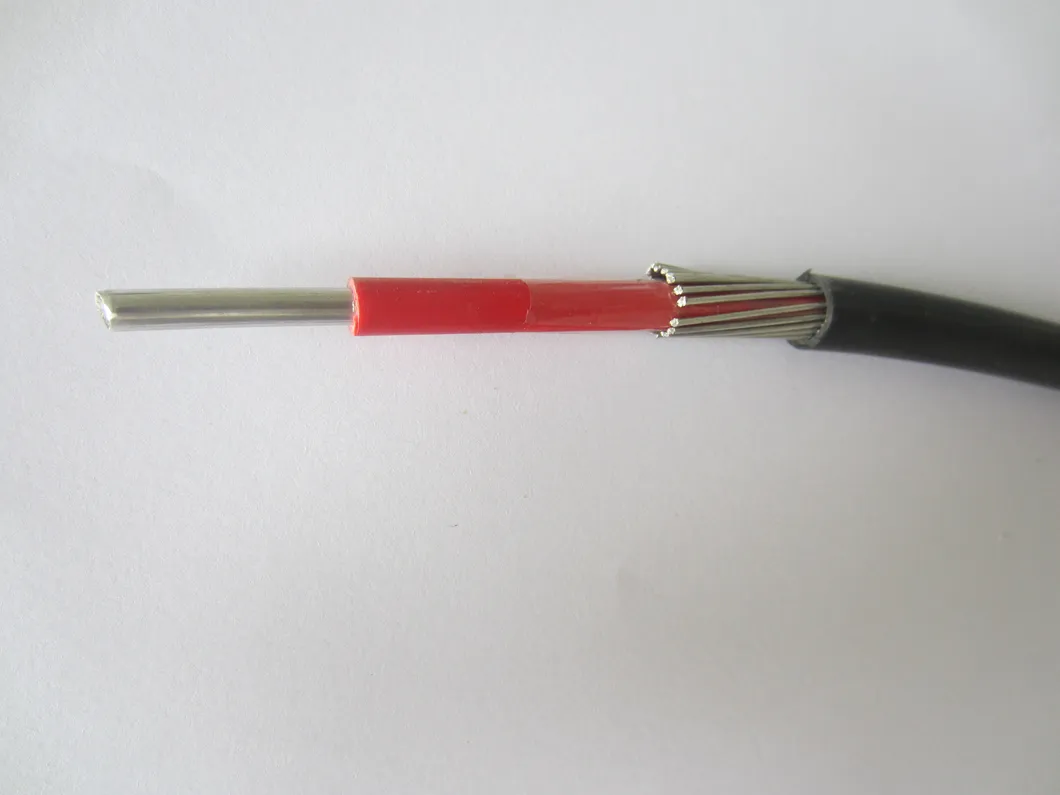 10mm2 16mm2 Cne Sne Concentric Cable