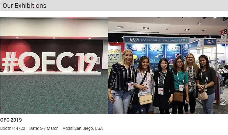 12 Core Om3 Om4 Breakout Optical Cable MPO to Sc Fan out 0.9mm 12 Color Fiber Optic Patch Cord