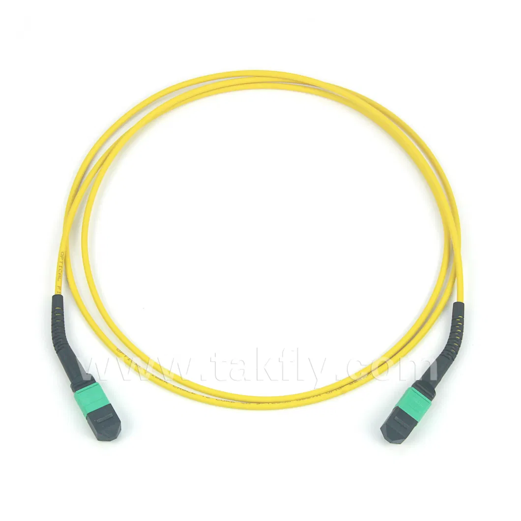 12 Cores MTP MPO to MPO Trunk Cable with Bending Boot
