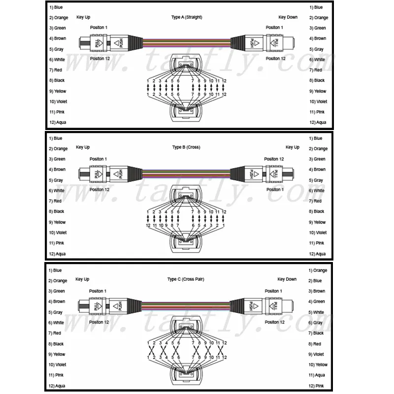 1X8 Spiltter Sc MPO Single Mode G652D PVC 3.0 Patchcord