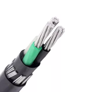 Why Does Corrosion Occur in Concentric Neutral Cable and How Can It Be Prevented