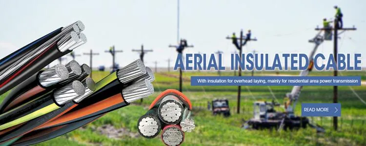 3core 4 Core ABC Power Cable Aluminum Conductor PVC/PE/XLPE Insulation 2*16mm2 3*35mm2 4*16mm2 Overhead Cable