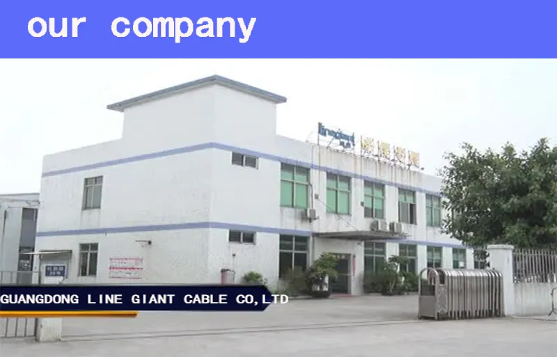 6 Sq mm Wire 4+1 PVC Insulated Electronic Wire / PVC Sheathed Fire Resistant Electricity Wirecables / Electric Wire Cable (N-VV)