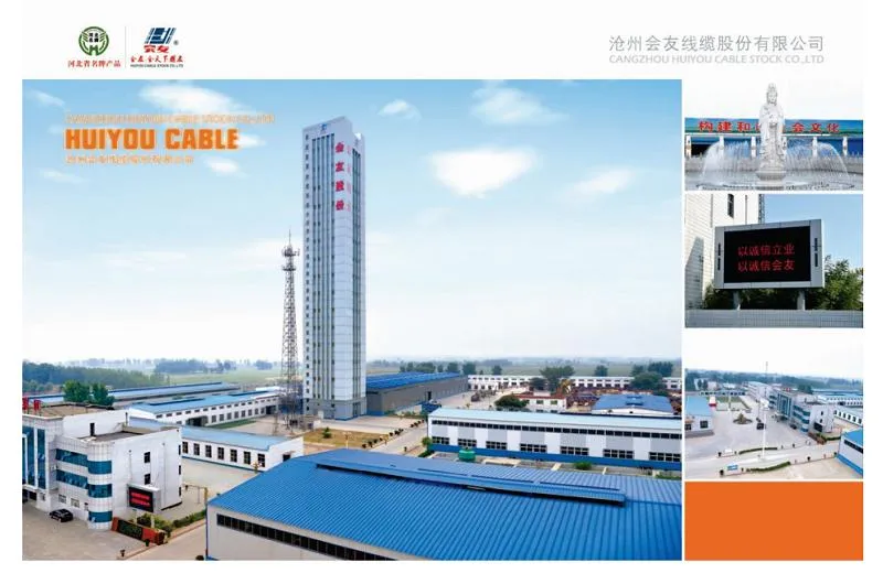 60332 IEC 2 Hour Fire Proof Security Heavy Copper Core Flexible Mineral Insulated Fire Resistant Electric Wire Cable (BBTRZ)