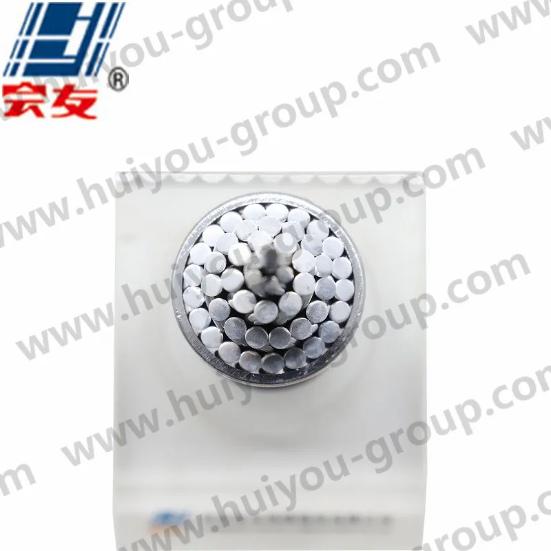 AAC AAAC ACSR Acar Bcc Accc All Aluminium Conductor Alloy Overhead Bare Conductor (720/50mm and customized)