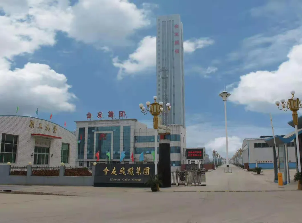 ACSR Conductor, Aluminum Conductor Steel Reinforced Wire Cable for Power Transmission Cangzhou Huiyou