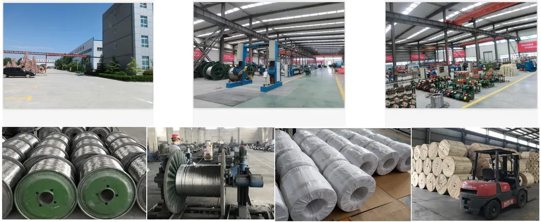 350mm2 Electric Wire BS 215 Standard Sheep/Antelope/Bison Bare ACSR Conductor Cable