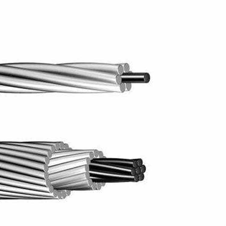 Aluminum Conductor Steel Reinforced ACSR Racoon