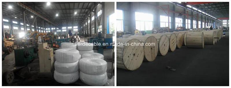 AWG Size Customzied Copper Conductor Nylon Jacket Thhn Wire
