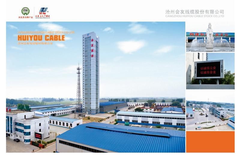 China Products/Suppliers. ACSR Conductor (Aluminum Conduct Steel Reinforced)