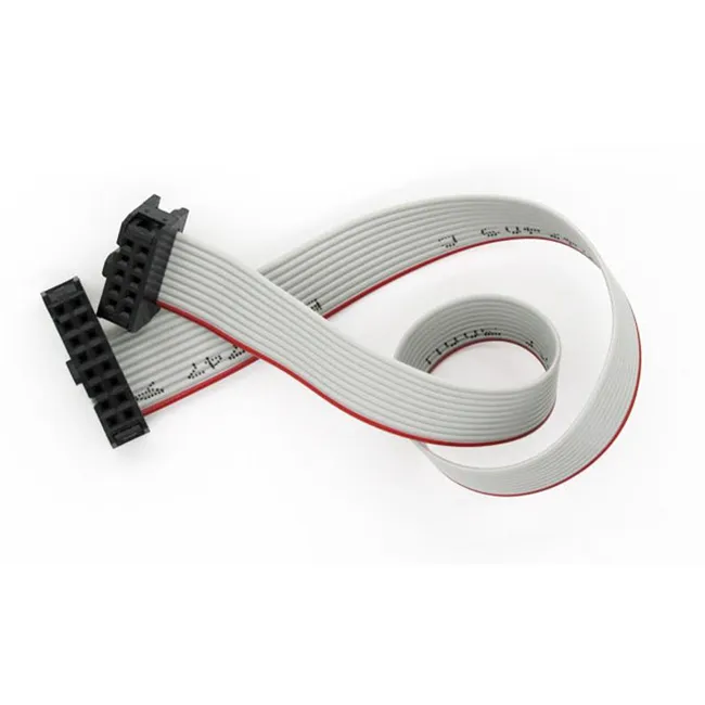 Customized 10 Pin Flat Ribbon Cable IDC Connector Wire Harness Assembly