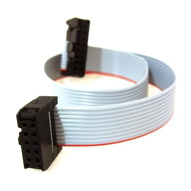 Customized 10 Pin Flat Ribbon Cable IDC Connector Wire Harness Assembly