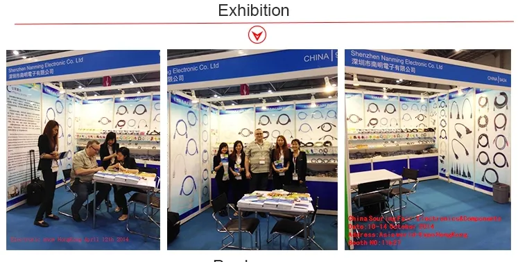 Customized 10 Pin Flat Ribbon Cable IDC Connector Wire Harness Assembly