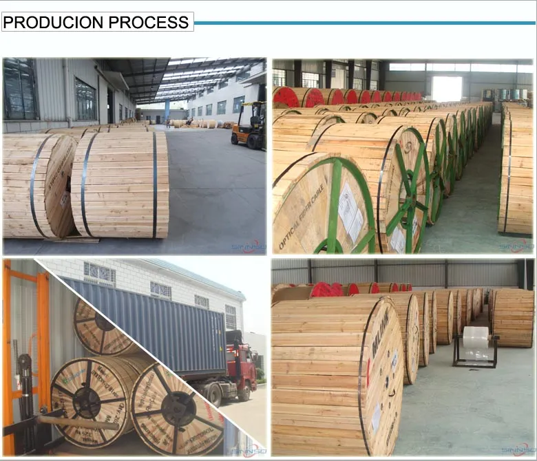 Duct Good Quality Loose Tube 2-48 Fiber Optic (GYXTY)