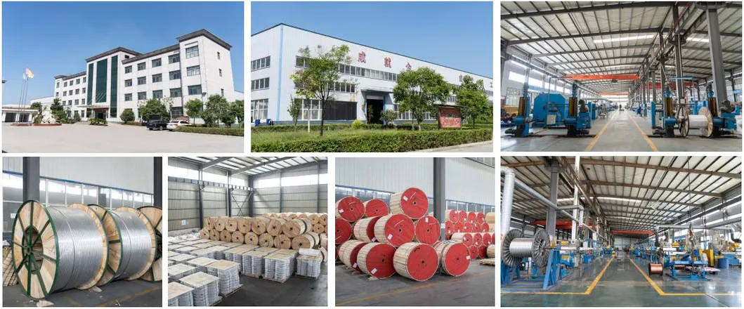 Hot DIP Gsw Galvanized Steel Wire Zinc Coated Stay Guy Wire