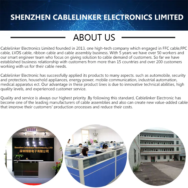 I-Pex-20453-040t-0100 FFC Flat Cable