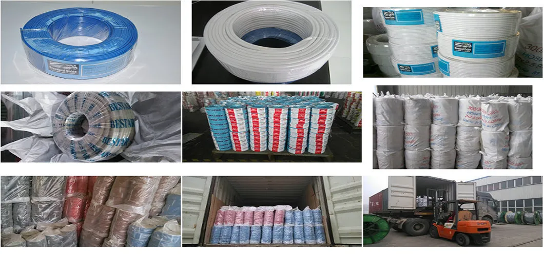 IEC 61089 AAAC 630mm2 All Aluminum Alloy Conductor for Overhead Electricity Transmission AAAC Cable
