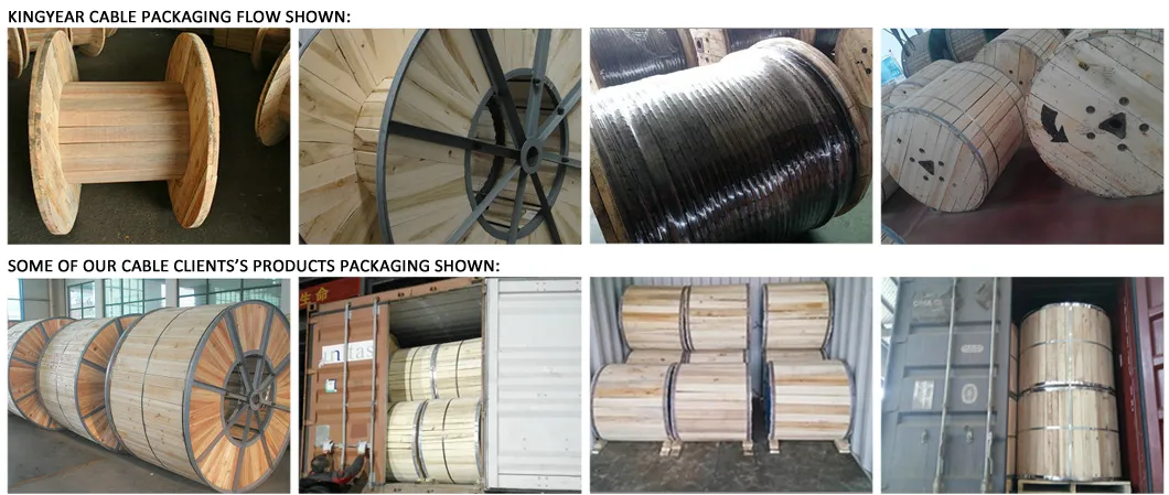 IEC 61089 AAAC 630mm2 All Aluminum Alloy Conductor for Overhead Electricity Transmission AAAC Cable