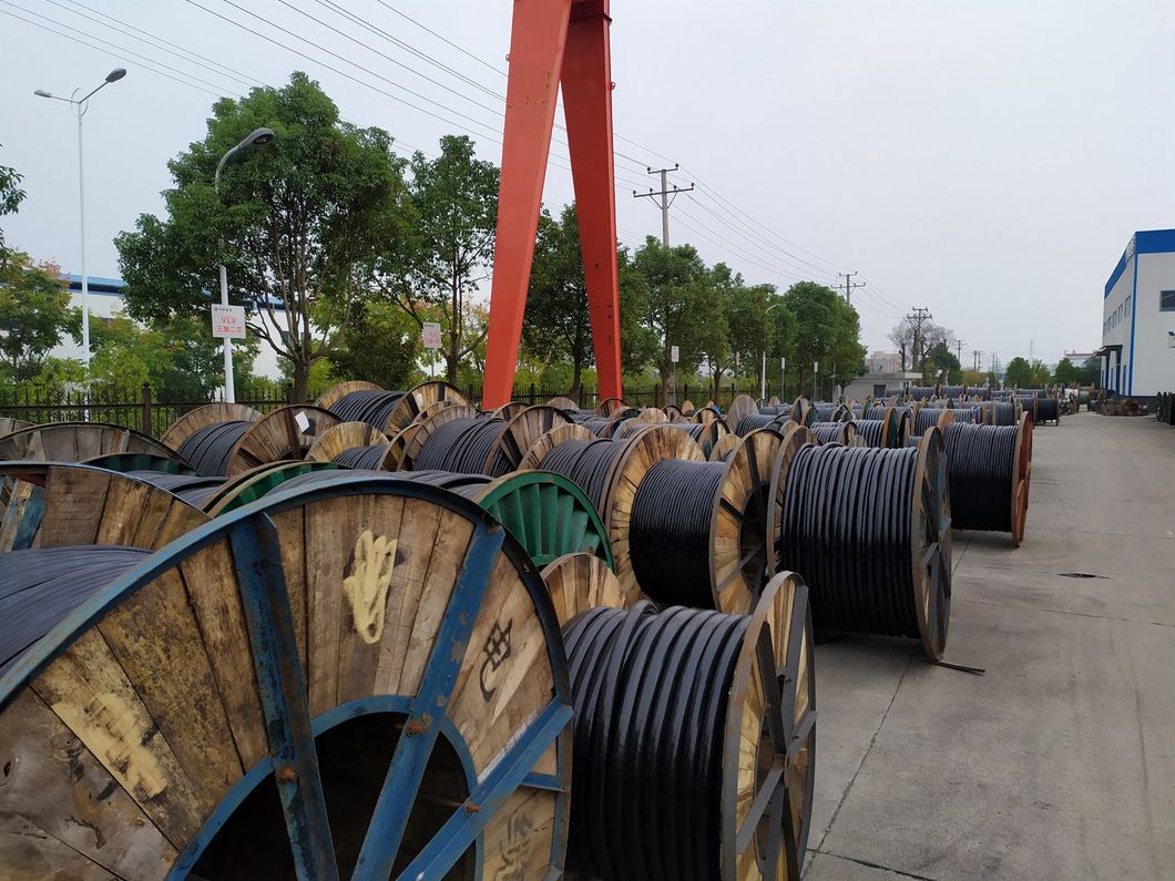 IEC Standard PVC PE Insulated Flexible Building House Wiring Copper Cable Household Flame Retardancy 300 500V Electrical Wire