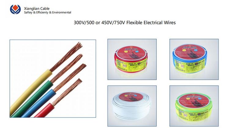 IEC Standard PVC PE Insulated Flexible Building House Wiring Copper Cable Household Flame Retardancy 300 500V Electrical Wire