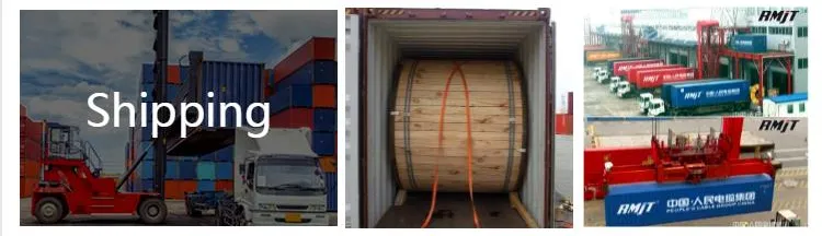 IEC60502 Copper Standard Nyy/Nayy/Na2xy/N2xy/N2xry Power Steel Wier Tape Armored Cable