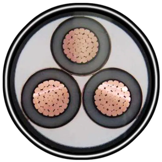 IEC60502 Copper Standard Nyy/Nayy/Na2xy/N2xy/N2xry Power Steel Wier Tape Armored Cable
