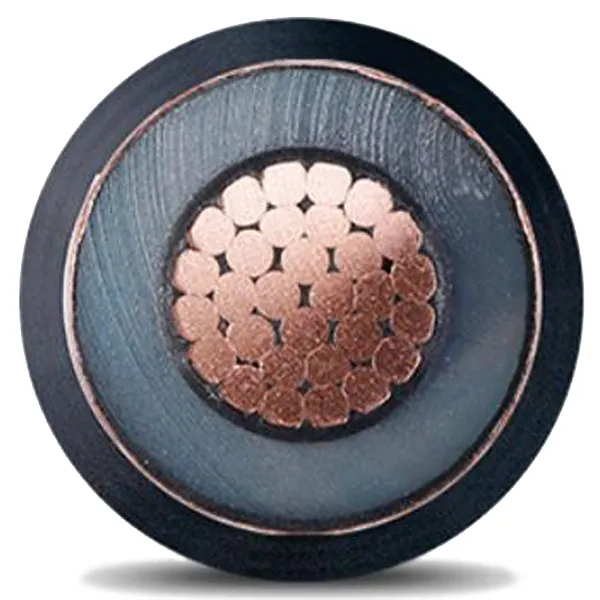 IEC60502 Copper Standard Nyy/Nayy/Na2xy/N2xy/N2xry Power Steel Wier Tape Armored Cable