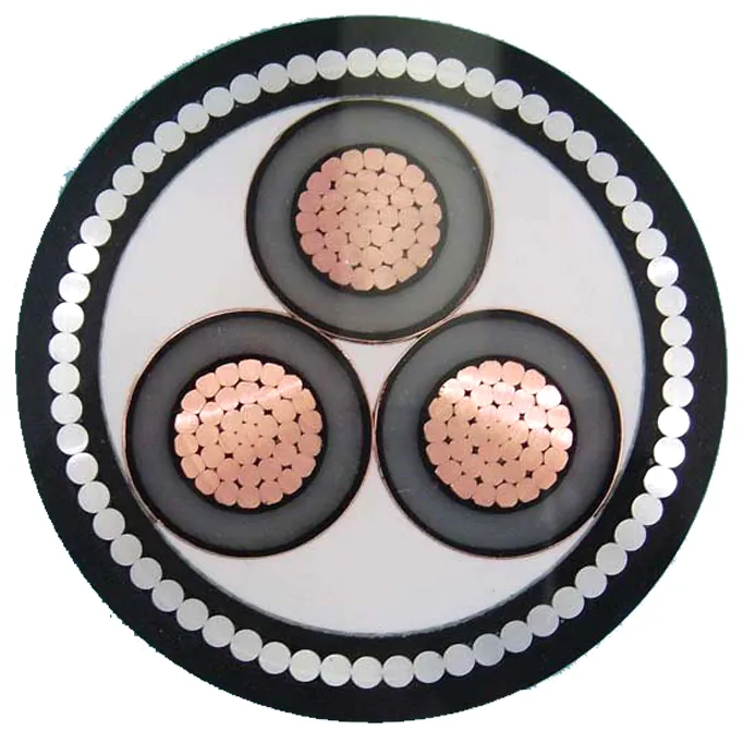IEC60502 Copper Standard Nyy/Nayy/Na2xy/N2xy/N2xry Power Steel Wier Tape Armored Cable