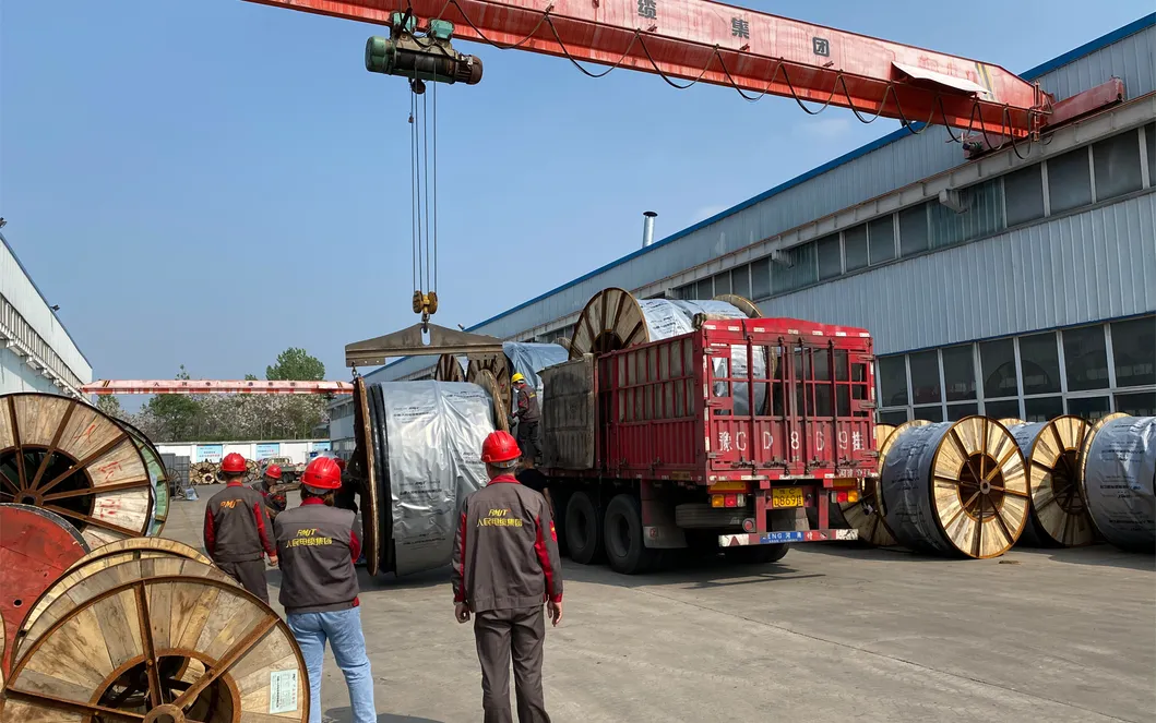IEC60502 Copper Standard Nyy/Nayy/Na2xy/N2xy/N2xry Power Steel Wier Tape Armored Cable