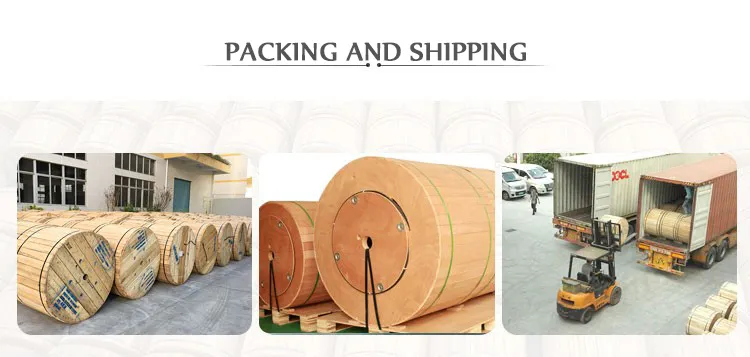 Manufacture Price GYXTW Aerial or Duct 4 6 8 12 Core Fiber Optic Cable