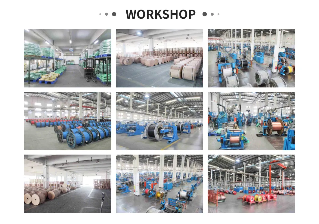 Medium Voltage 3 Core Copper/Aluminum Conductor XLPE Insulated Armoured Power Cable