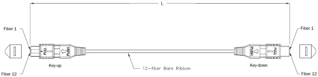 MPO Singlemode Multimode Fiber Optic Patch Cord