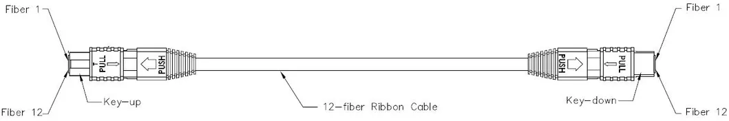 MPO Singlemode Multimode Fiber Optic Patch Cord