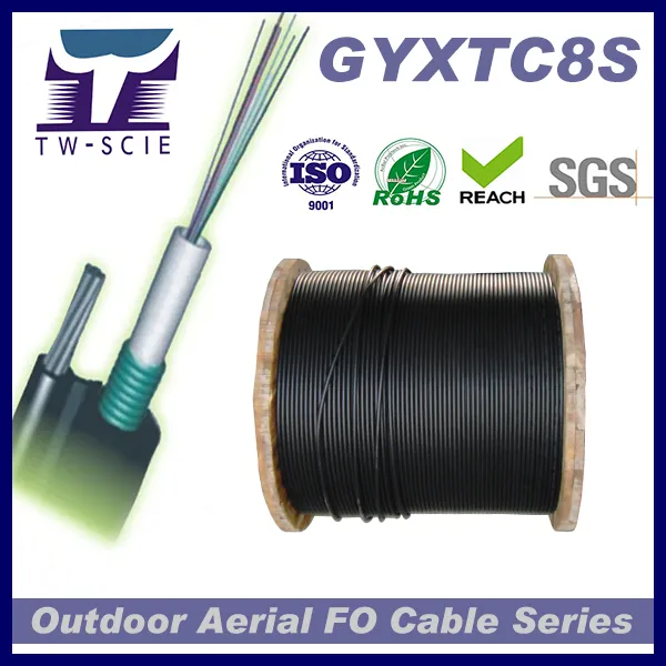 Optic Fiber Cable with PE Sheath 12 Core