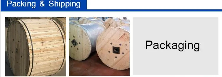BS ASTM GB IEC Aw AAC AAAC Standards Aluminum Alloy Conductor Steel Reinforced Overhead Electric Powe Wire Cable Bare Aluminumr Overhead Conductor ACSR