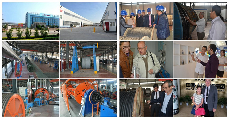 Power Transmission Overhead ASTM IEC DIN Standard Aluminum Alloy Conductor AAAC Conductor