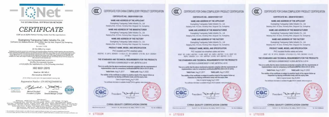 PVC Insulated&Sheathed Electrical/Electric Power Cable in Accordance with IEC Standard