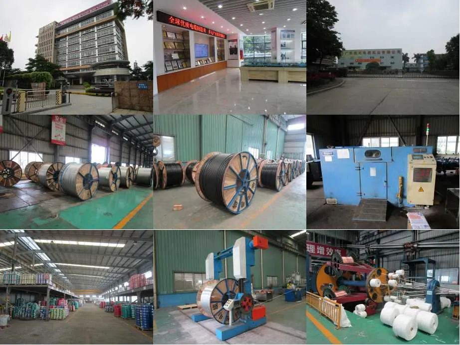 PVC Insulated&Sheathed Electrical/Electric Power Cable in Accordance with IEC Standard