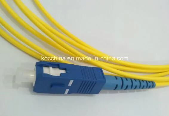 Sc-Sc Sm Sx 2.0mm G652D Fiber Optic Patch Cord