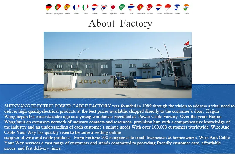 Shenguan Cy LSZH Control Cable, 300/500 V, Flexible Cu/Hf/Petp/Tcwb/LSZH (BS 6500/BS EN 50525-3-11) in Cheap Factory Price