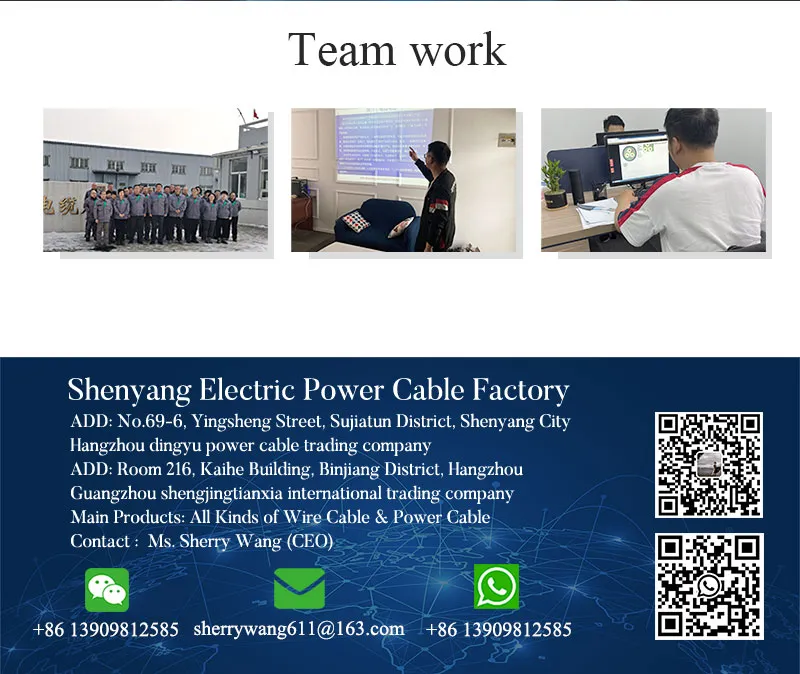 Shenguan Cy LSZH Control Cable, 300/500 V, Flexible Cu/Hf/Petp/Tcwb/LSZH (BS 6500/BS EN 50525-3-11) Low Medium Voltage Wire Cable