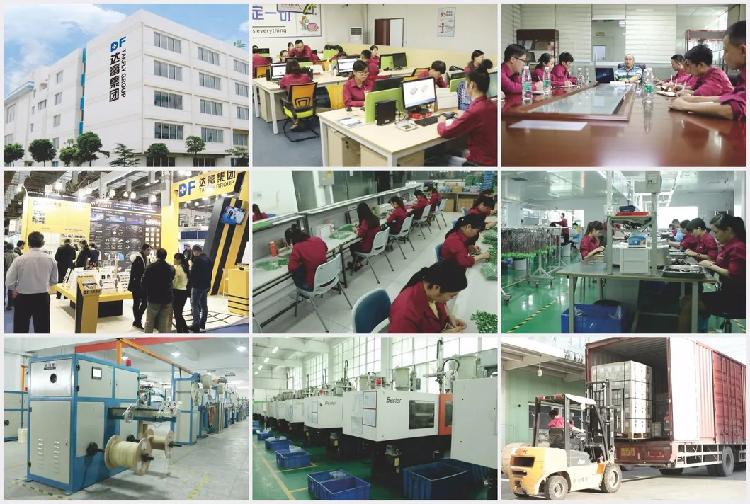 Single Mode Sc-Sc APC Duplex Fiber Optic Patch Cord