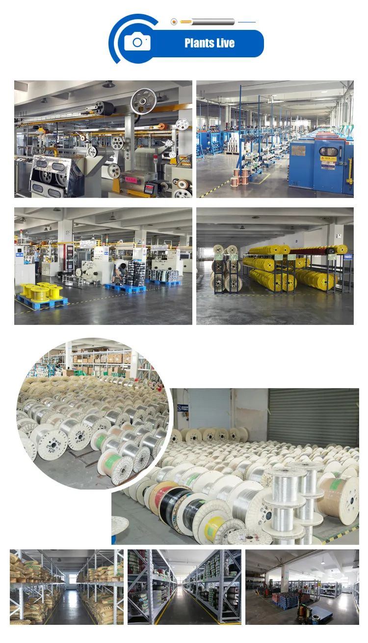 UL2468 Custom Flat Wire Cable 26AWG 2f Awm 2468 PVC Cable Insulated Control Wire Cable Control Electrical Copper Thinned Wire