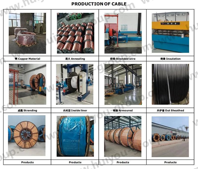 VV VV22 VV32 PVC/XLPE/Armoured Cable with Low Voltage